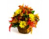 Autumn Daisy a Day